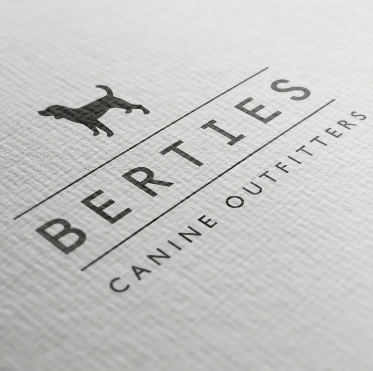 Logos & Branding Example 9