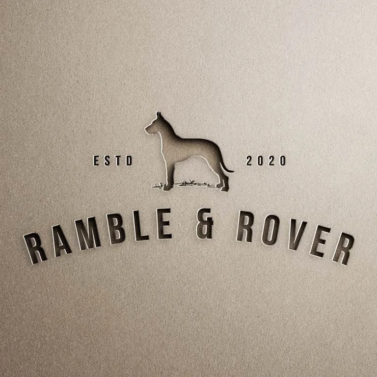 Logos & Branding Example 4